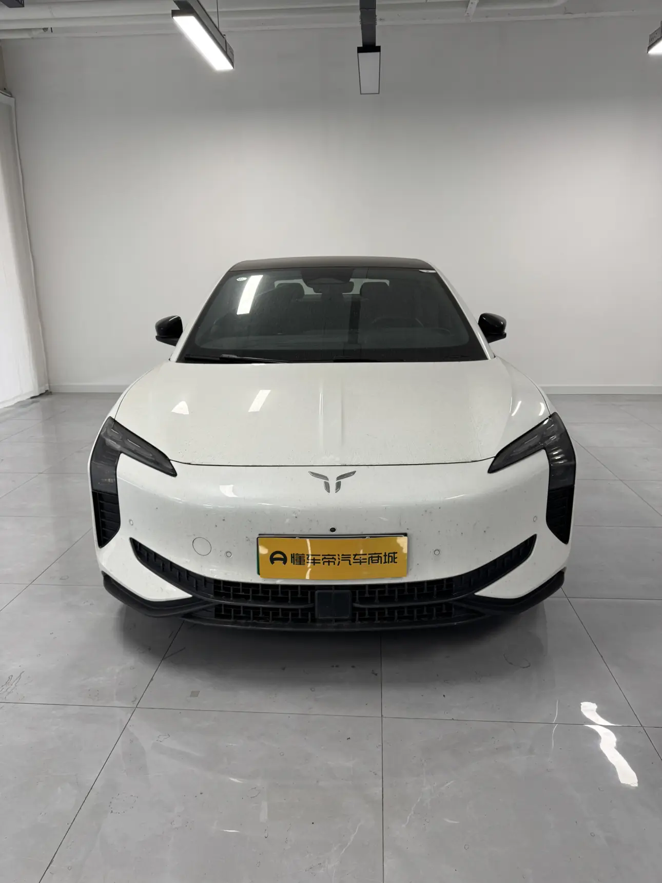 Hongqi EH7  из Китая