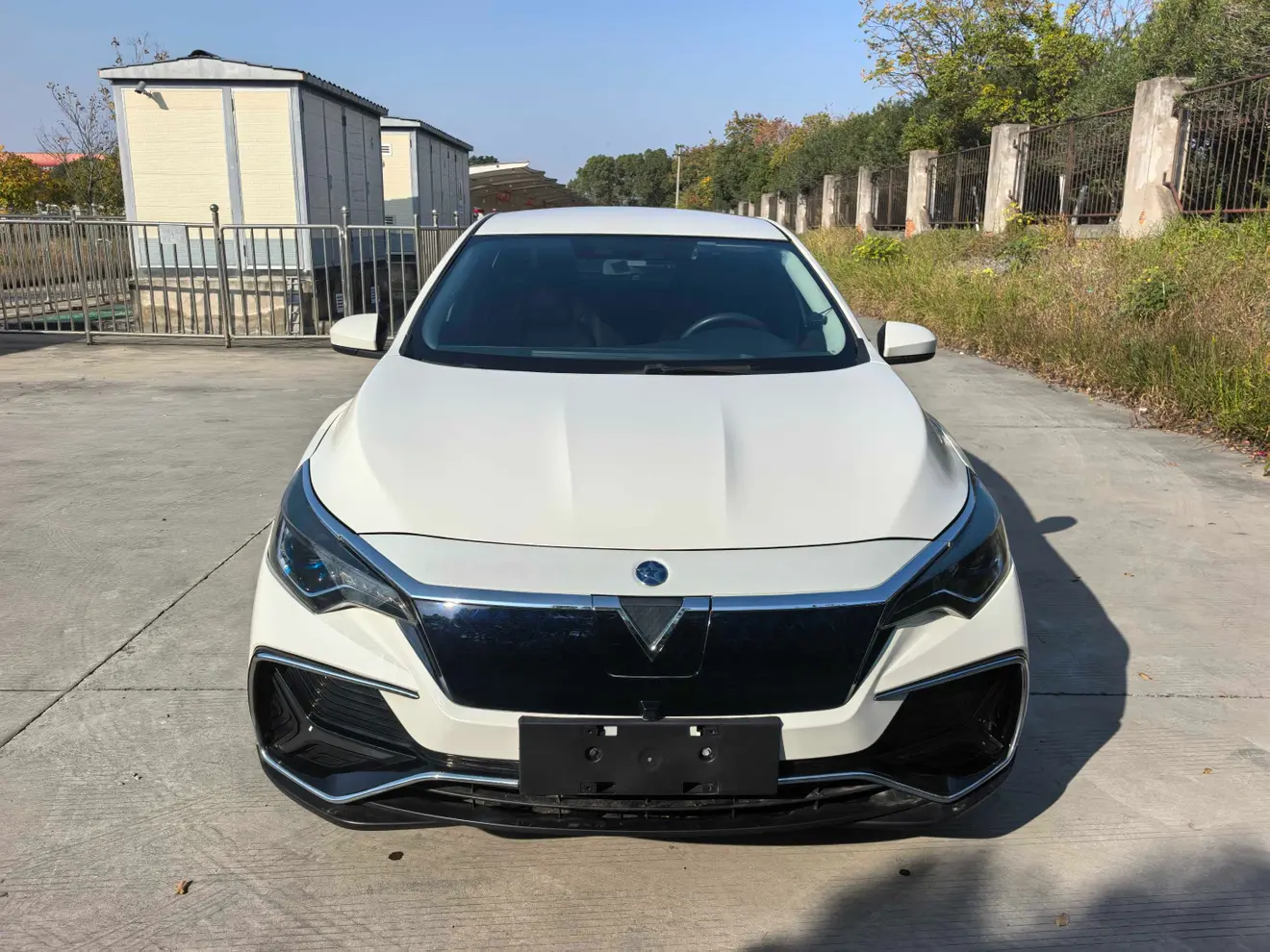 Kai Chen Venucia D60 EV  из Китая