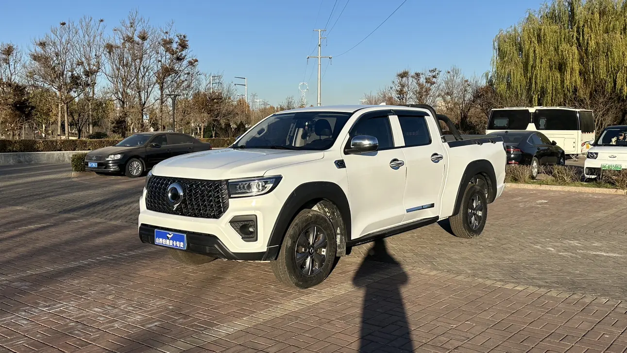 Great Wall Gun  из Китая