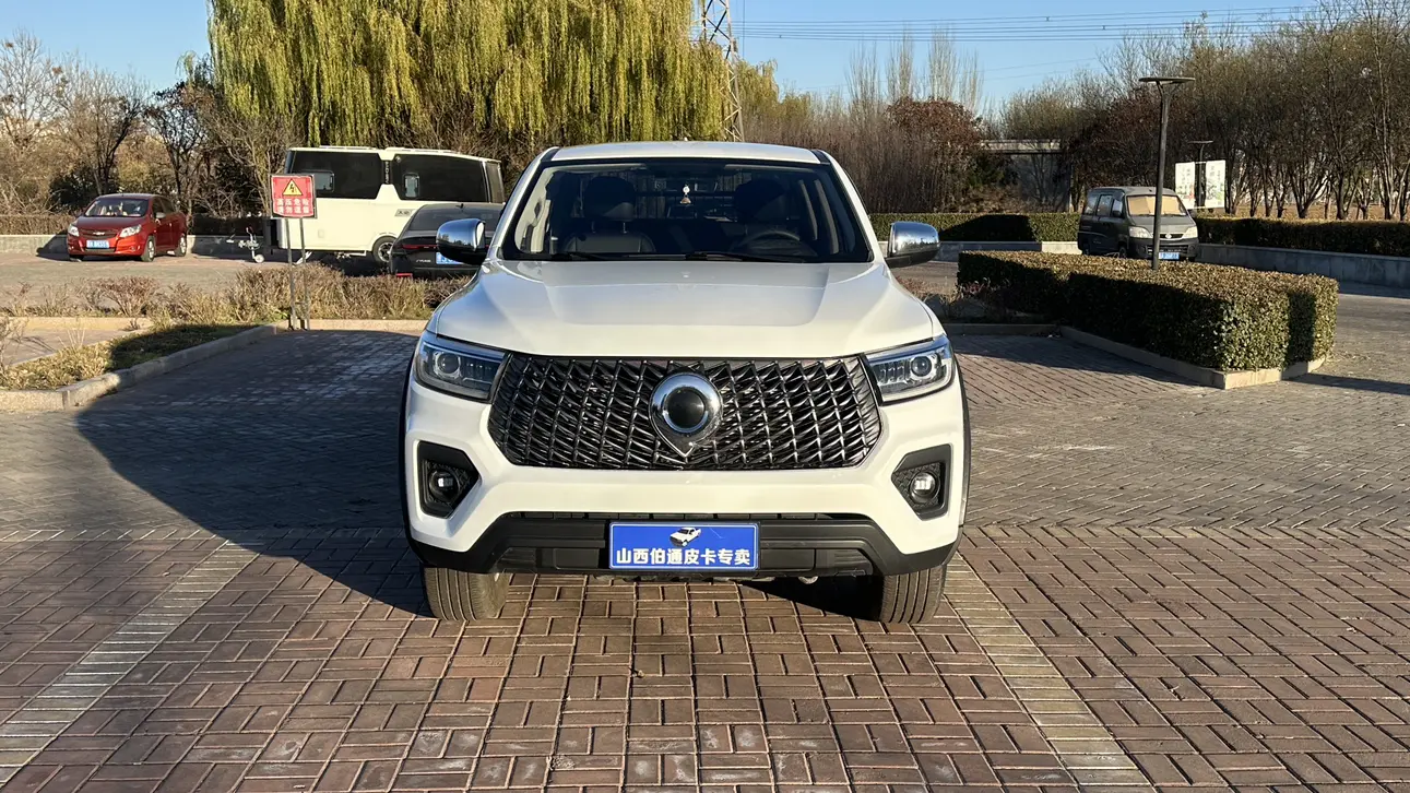 Great Wall Gun  из Китая