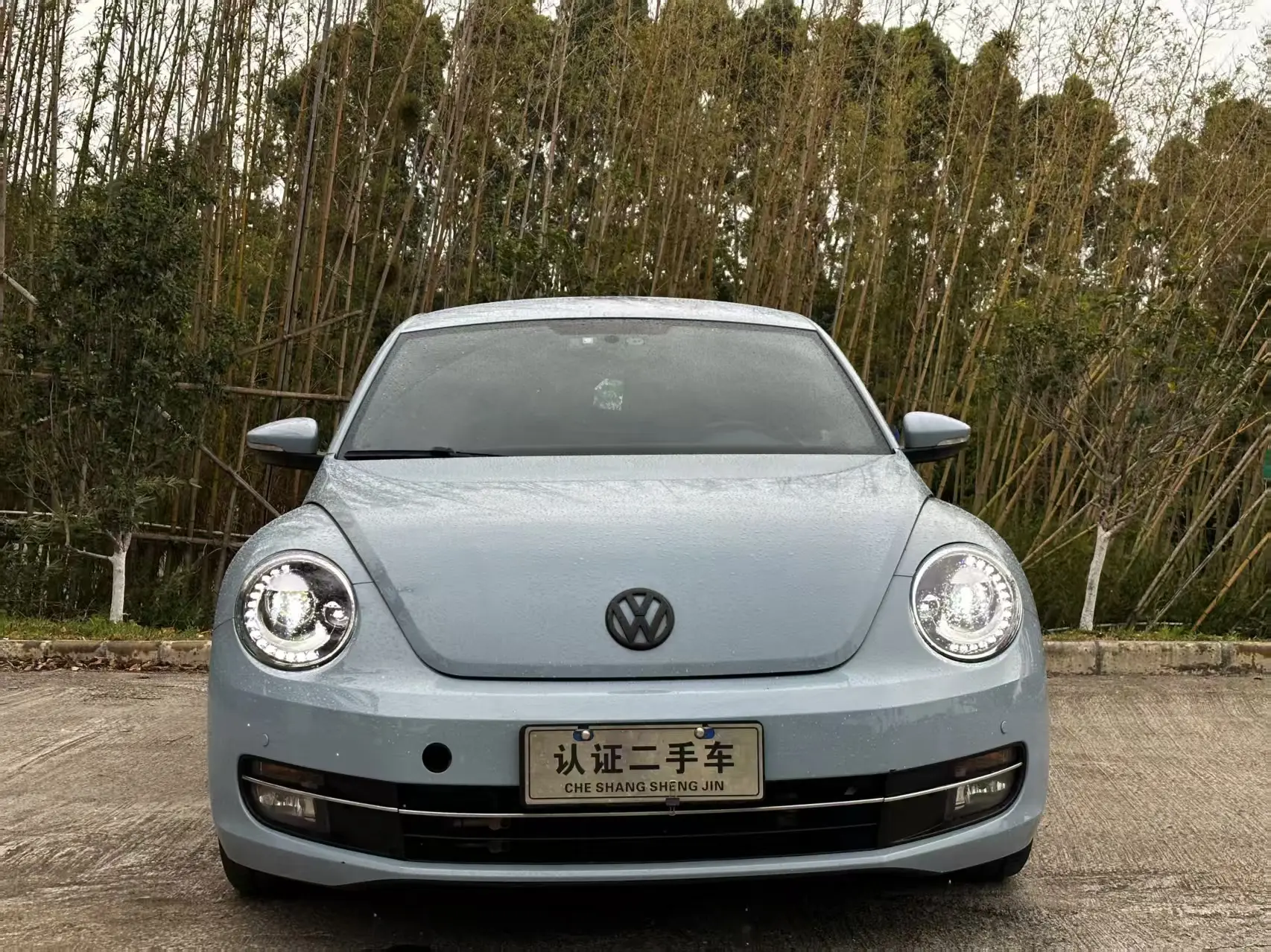 Volkswagen Beetle  из Китая