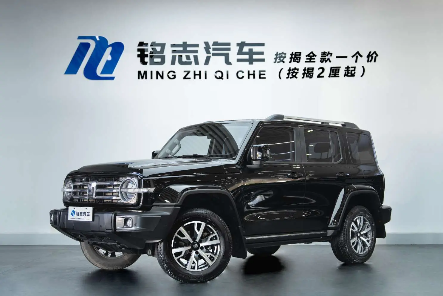 Tank 300  из Китая