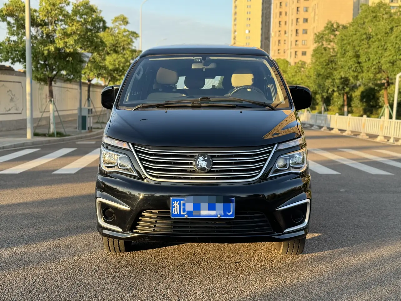 Forthing Lingzhi  из Китая