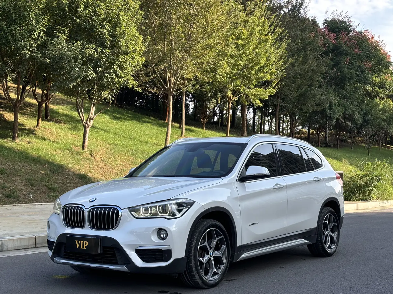 BMW X1  из Китая