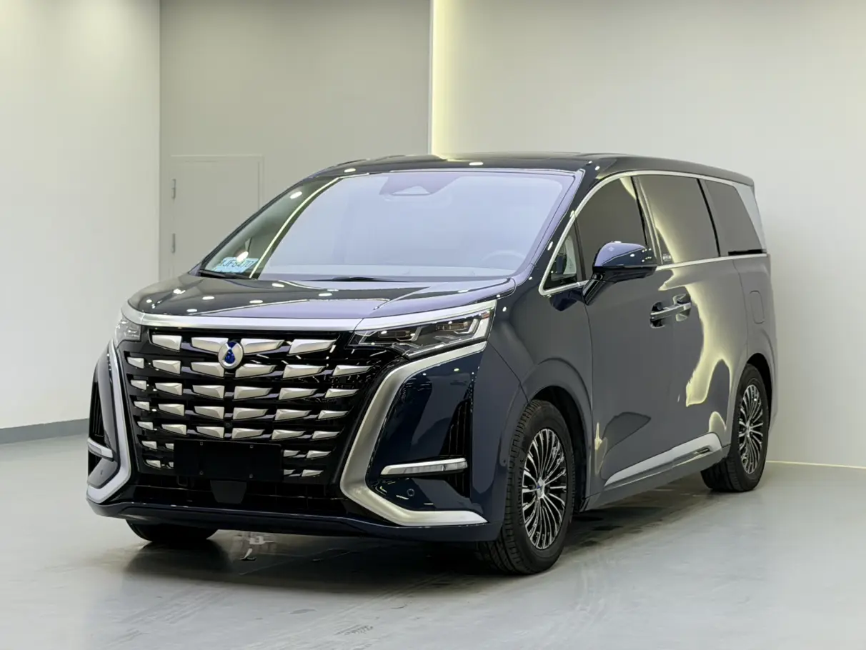 Denza D9 DM  из Китая