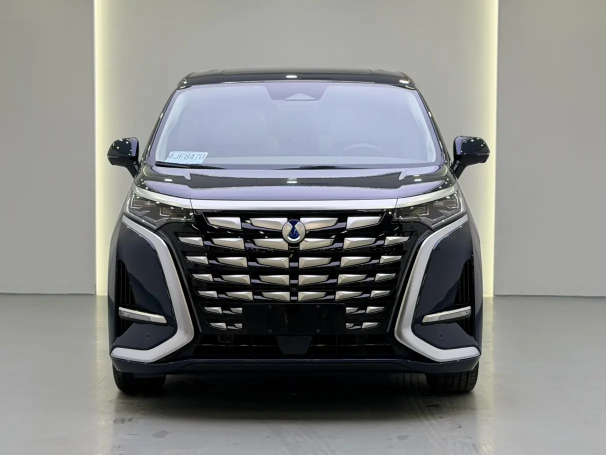 Denza D9 DM  из Китая