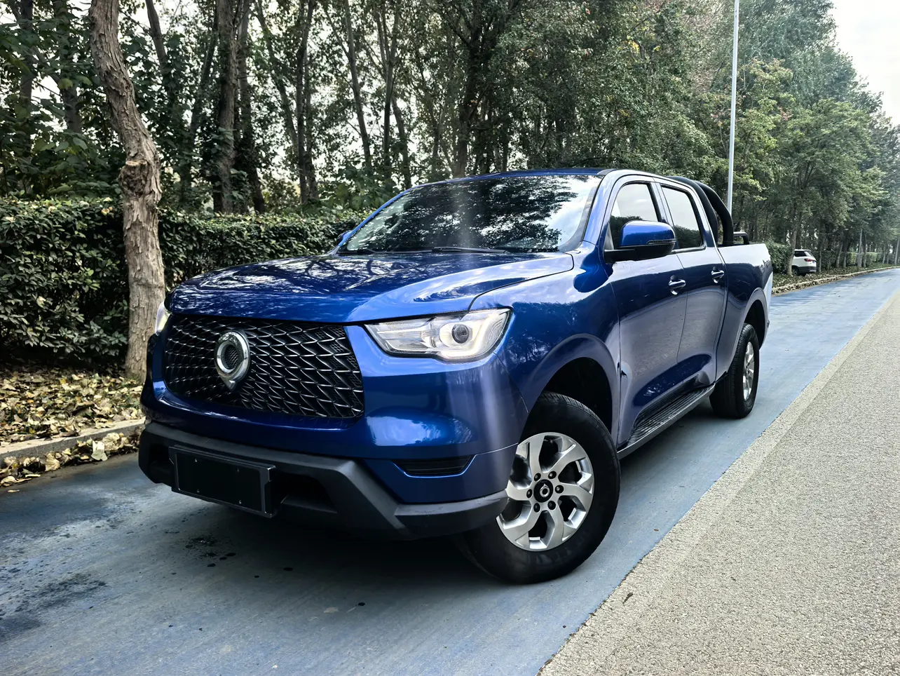 Great Wall Gun  из Китая