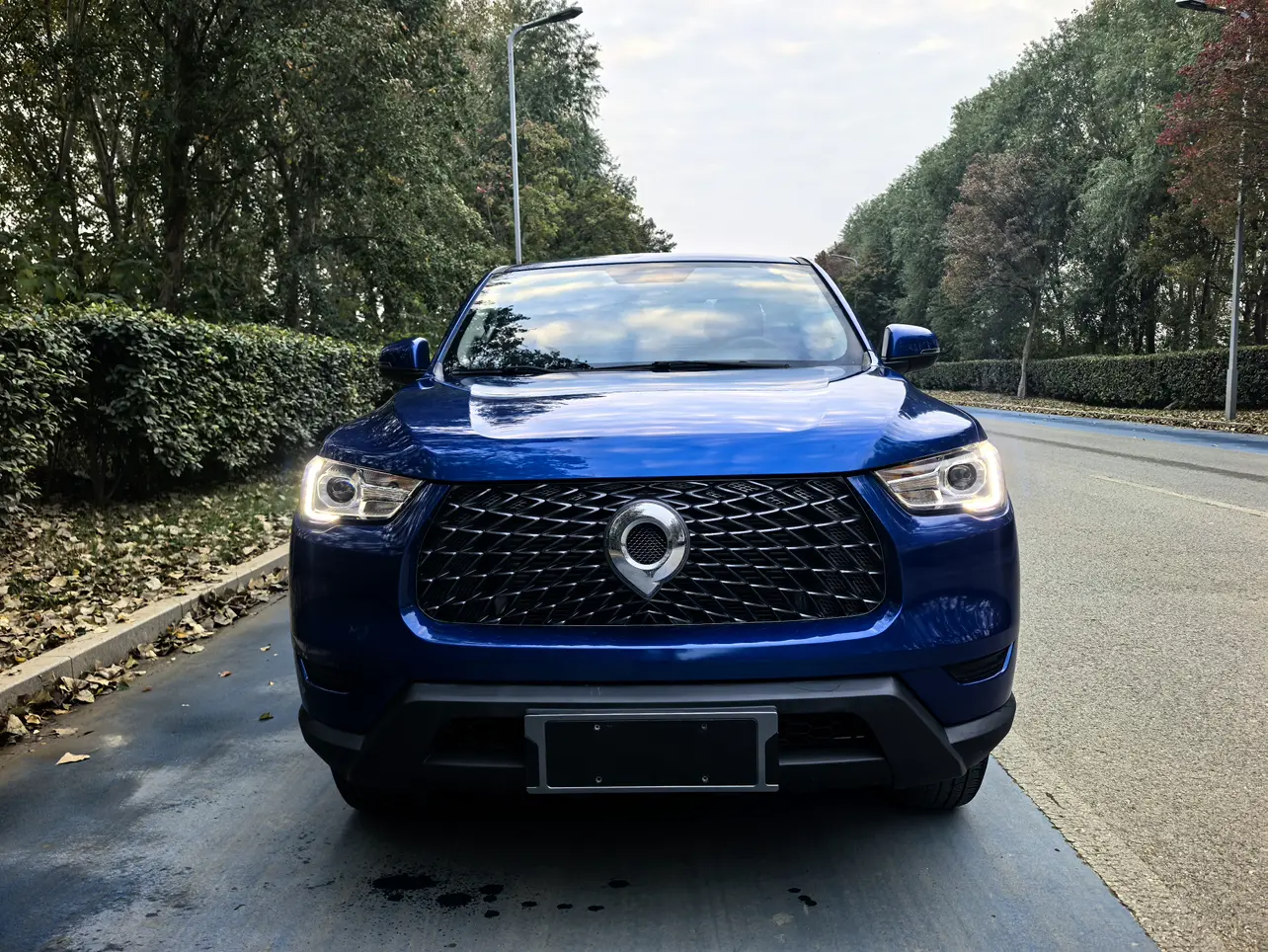 Great Wall Gun  из Китая