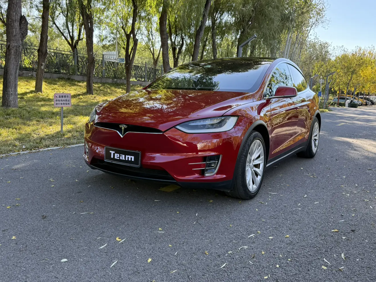 Tesla Model X  из Китая