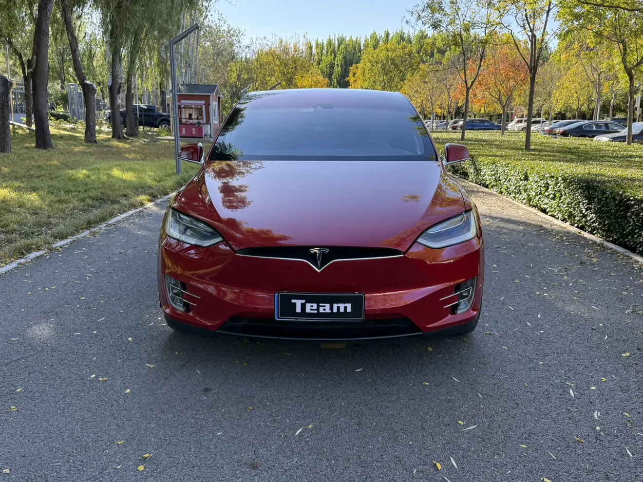 Tesla Model X  из Китая