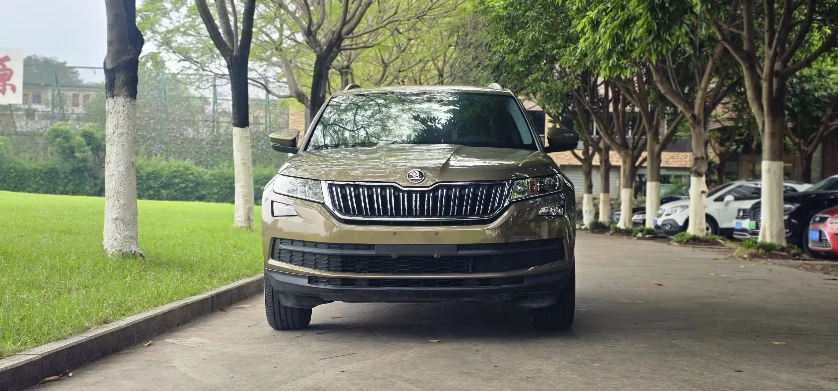 Skoda Kodiaq  из Китая