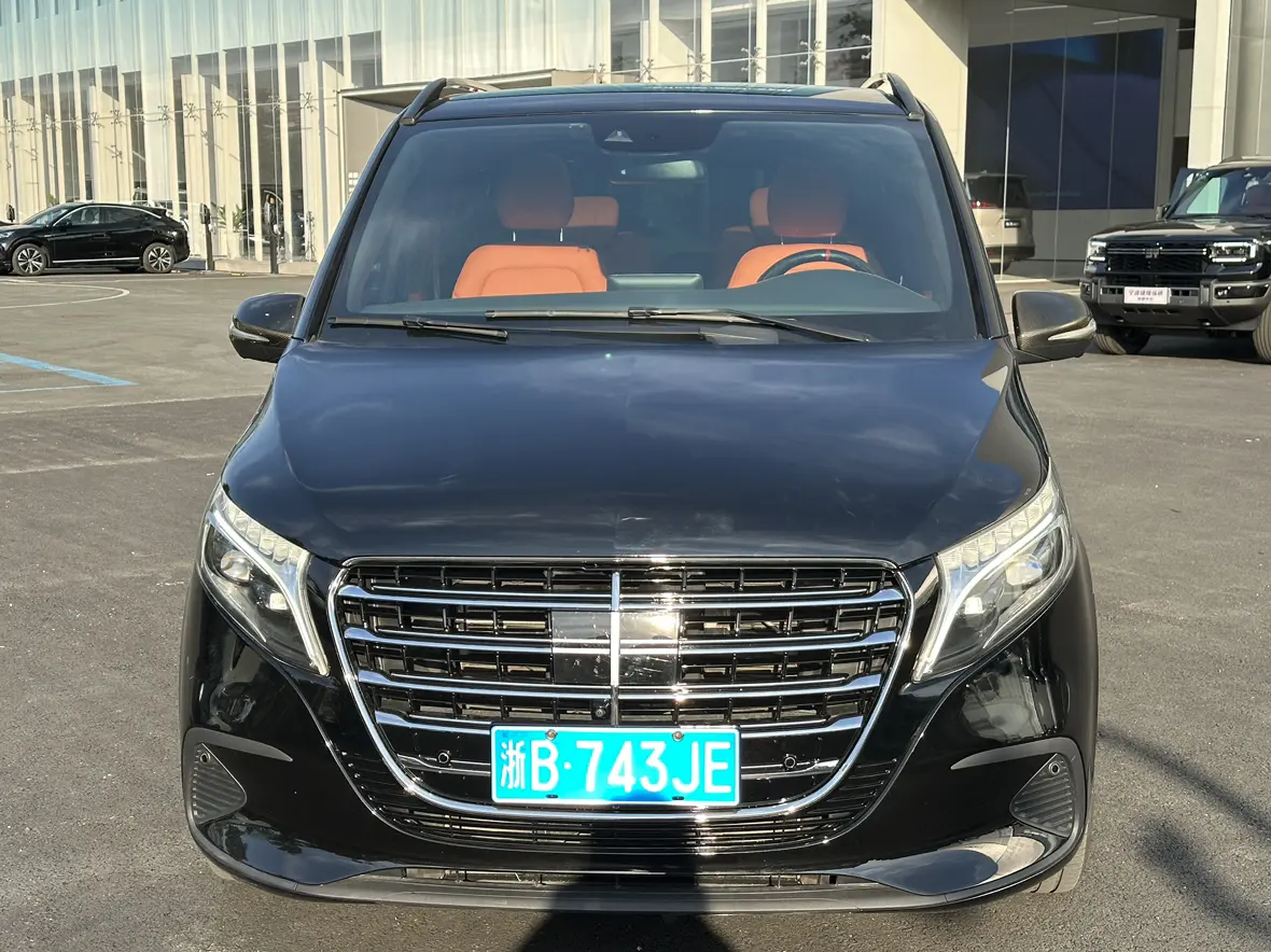 Mercedes-Benz Mercedes Benz V Class  из Китая