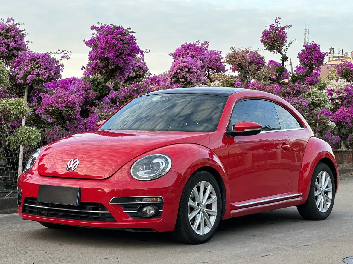 Volkswagen Beetle  из Китая