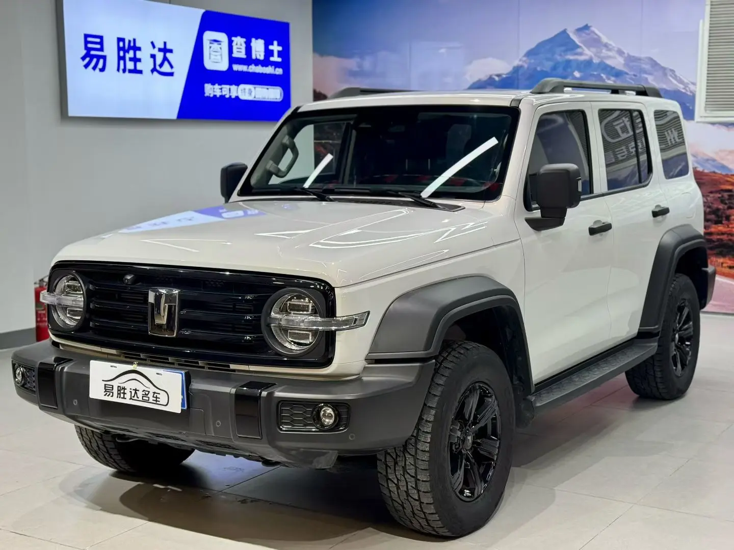 Tank 300  из Китая