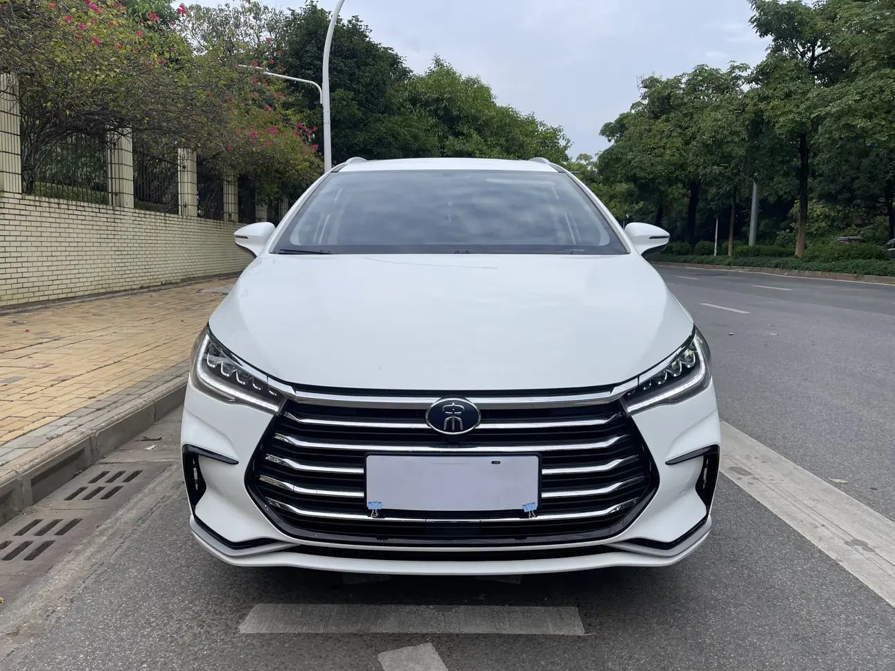 BYD Song MAX  из Китая