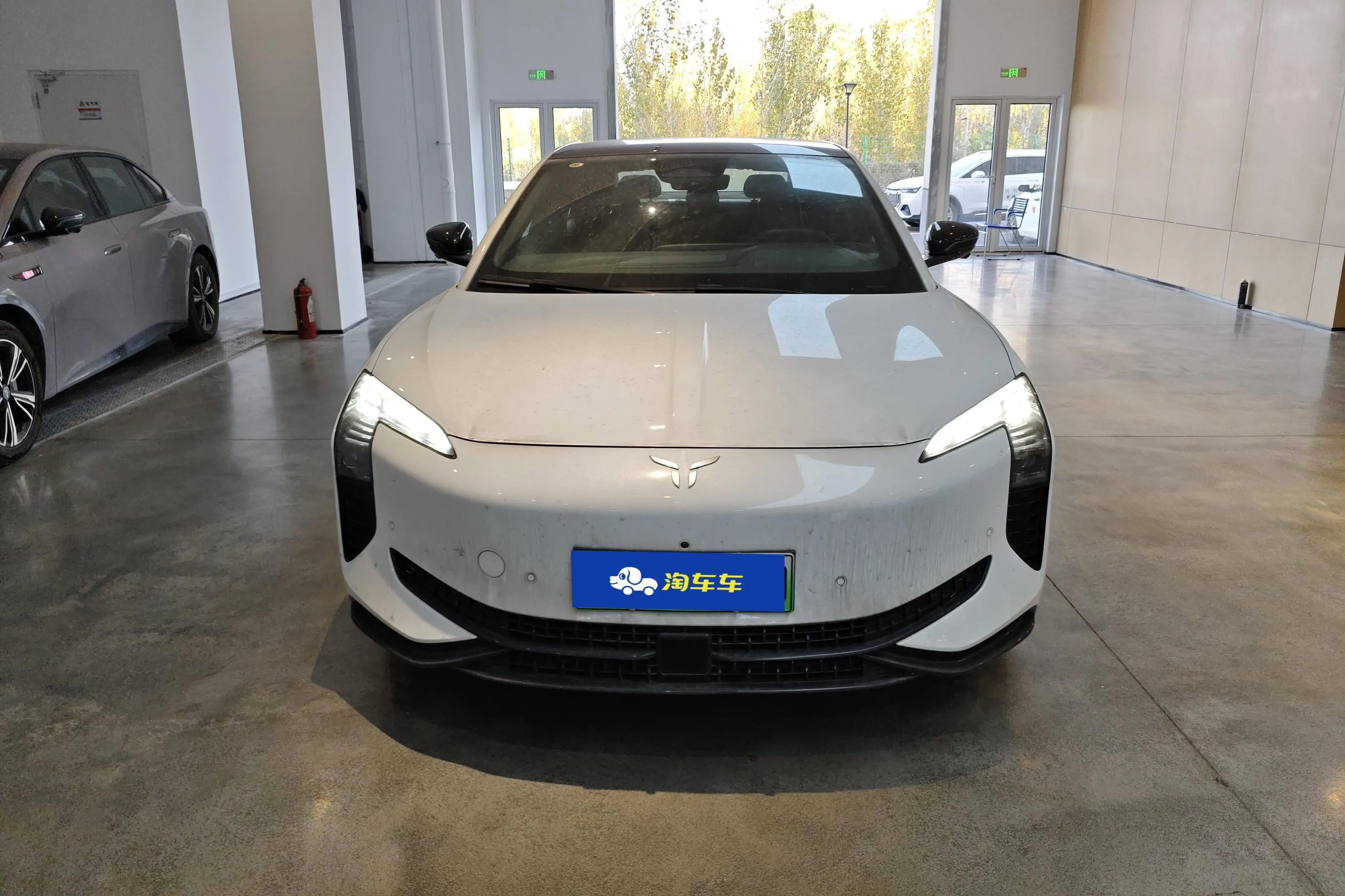 Hongqi EH7  из Китая