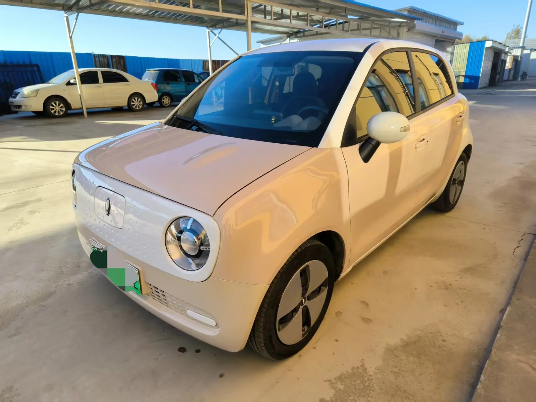 ORA Euler black cat  из Китая