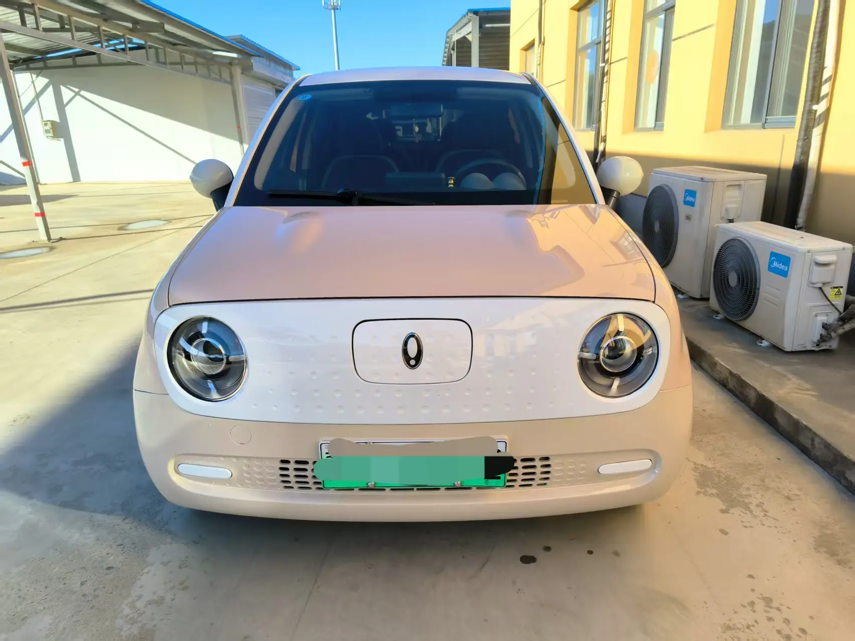 ORA Euler black cat  из Китая