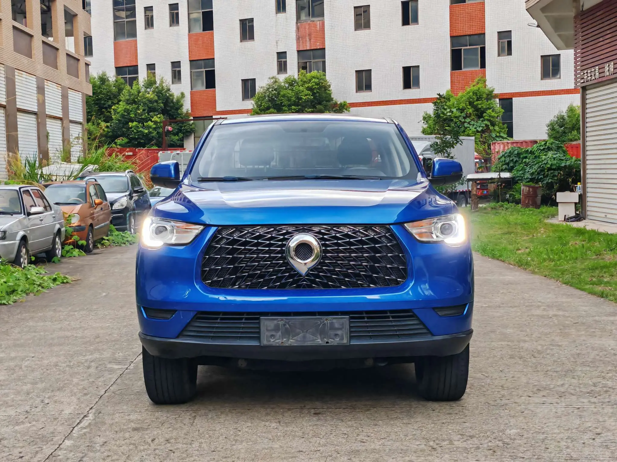 Great Wall Gun  из Китая