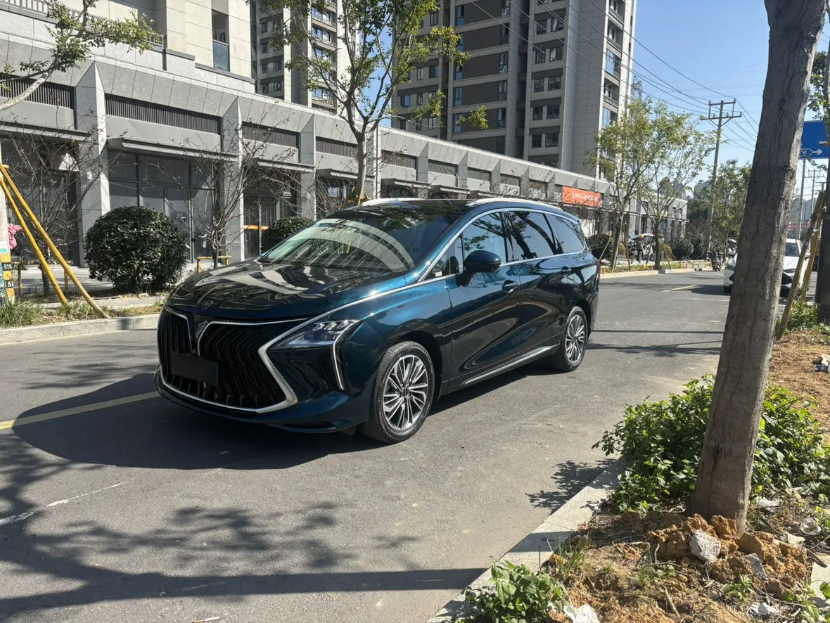 Forthing Popular yacht  из Китая