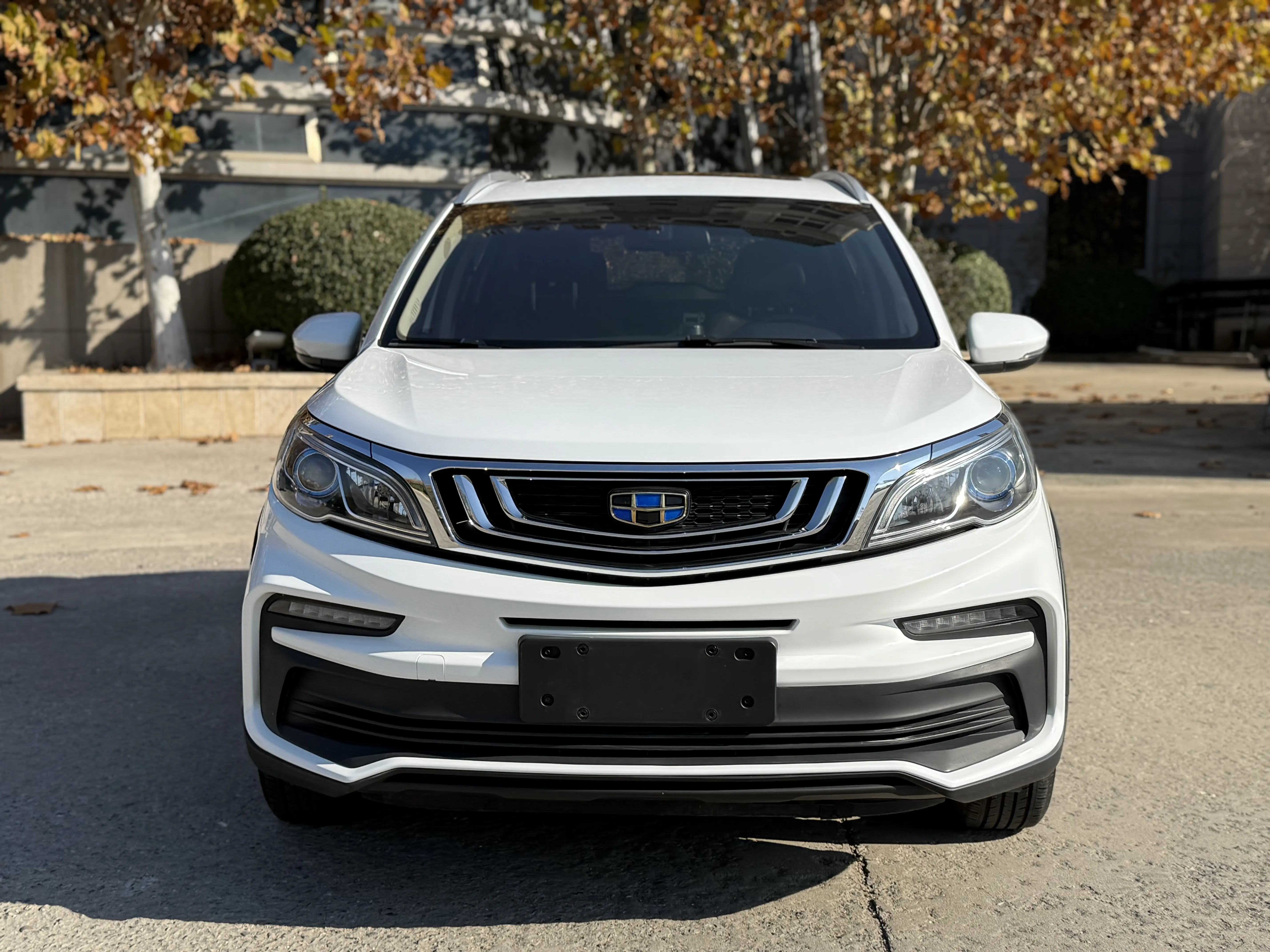 Geely Vision X3  из Китая