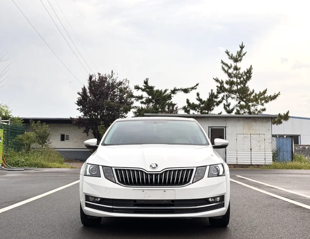 Skoda Octavia  из Китая