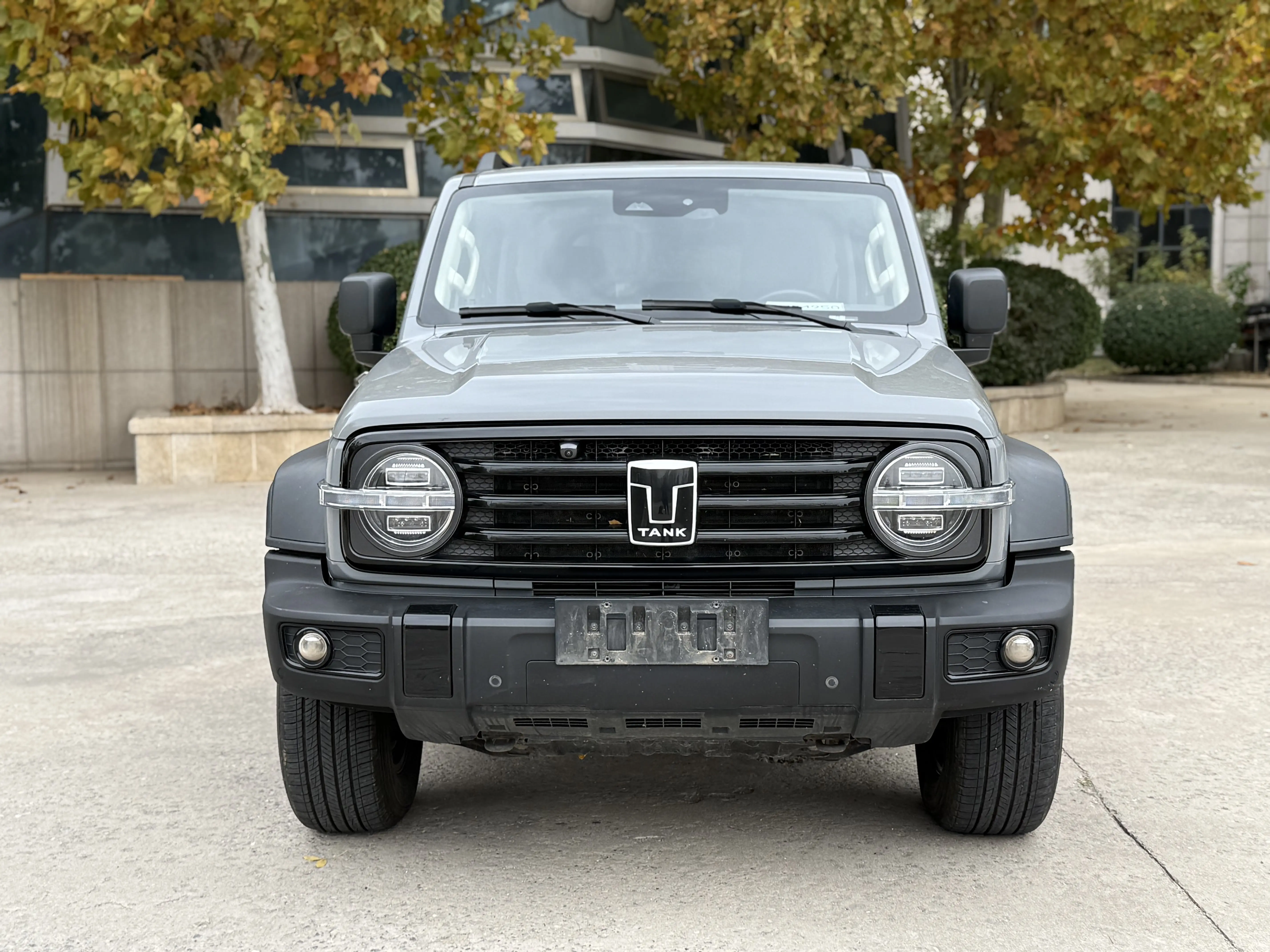 Tank 300  из Китая