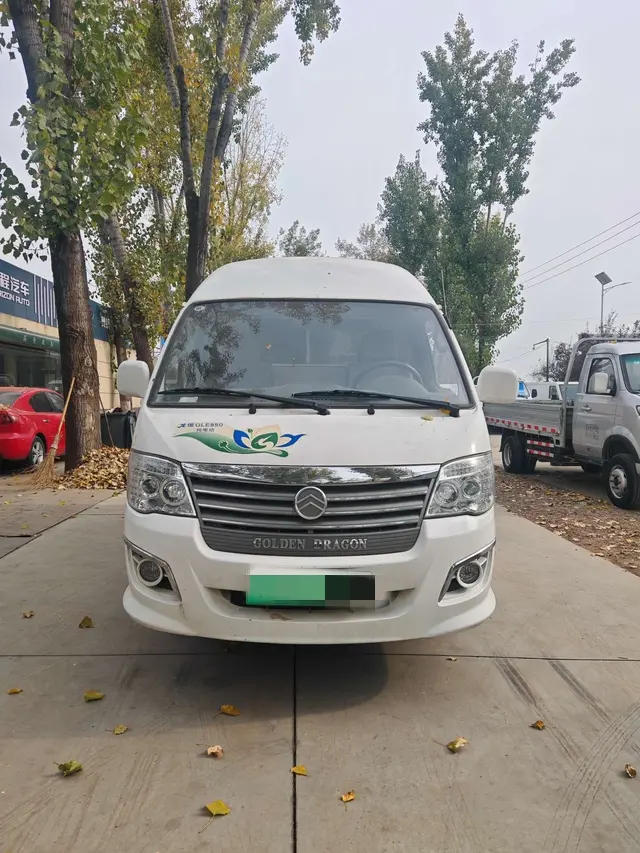 Golden Dragon Hiace EV  из Китая