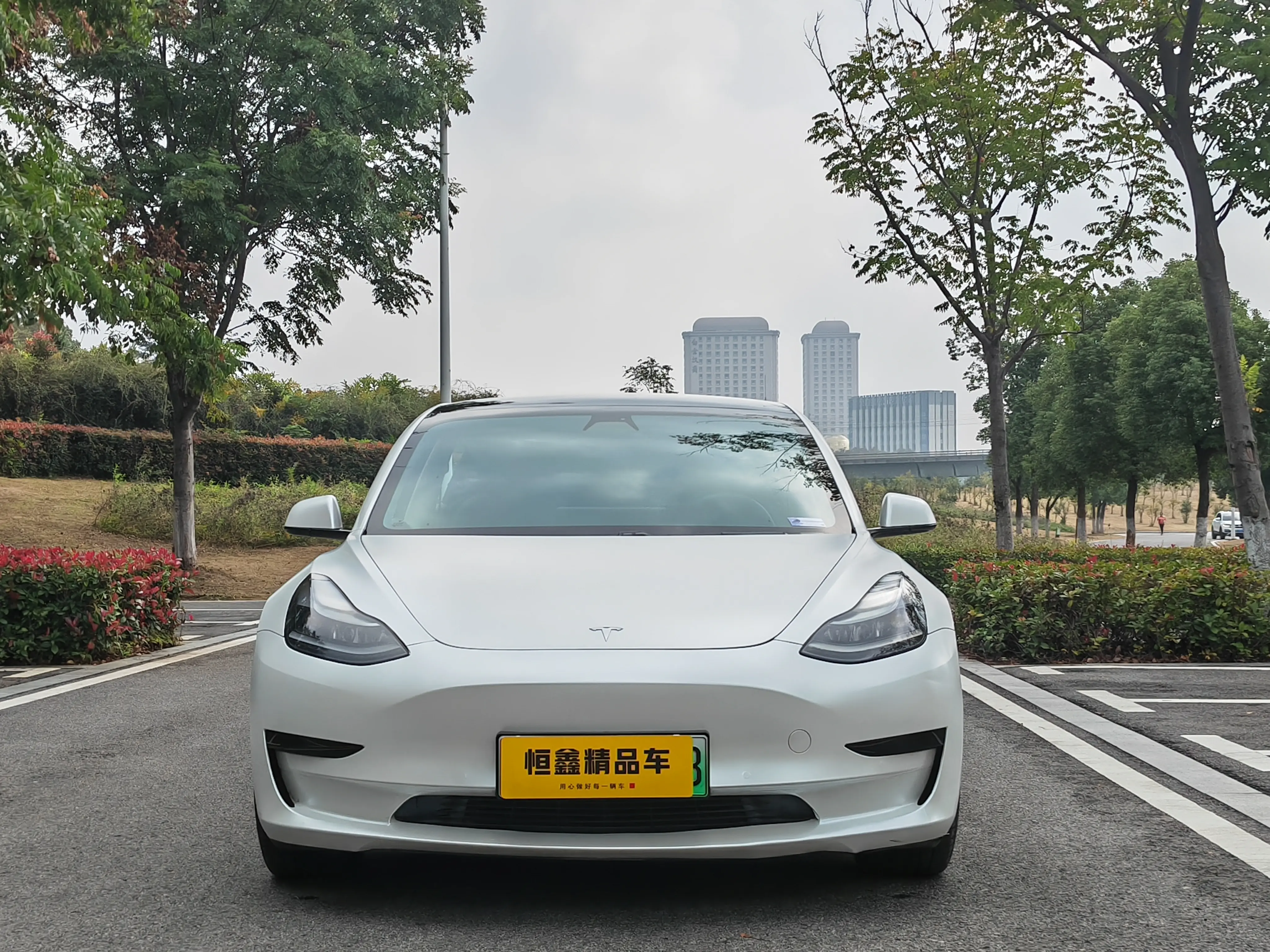 Tesla Model 3  из Китая