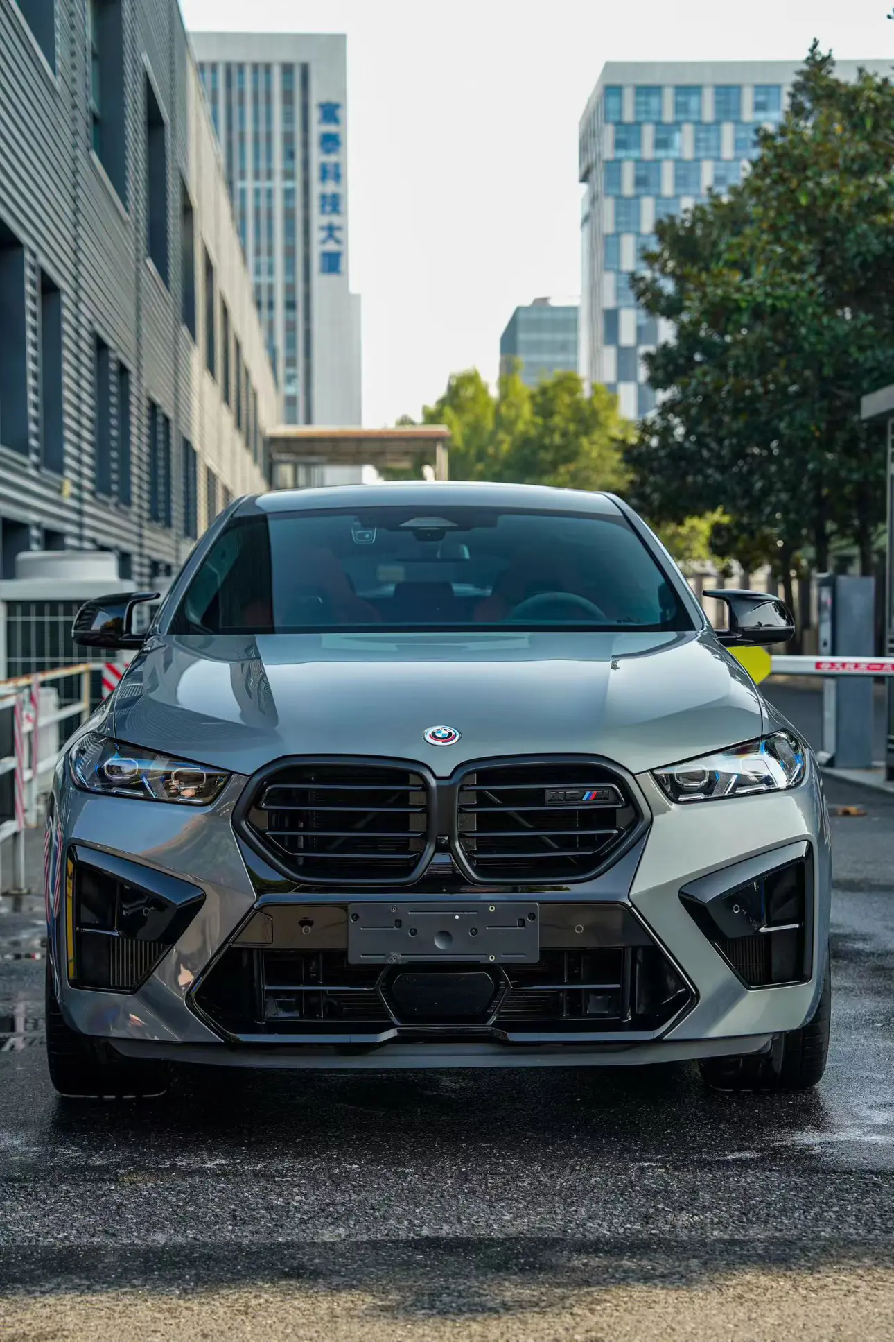 BMW X6 M  из Китая