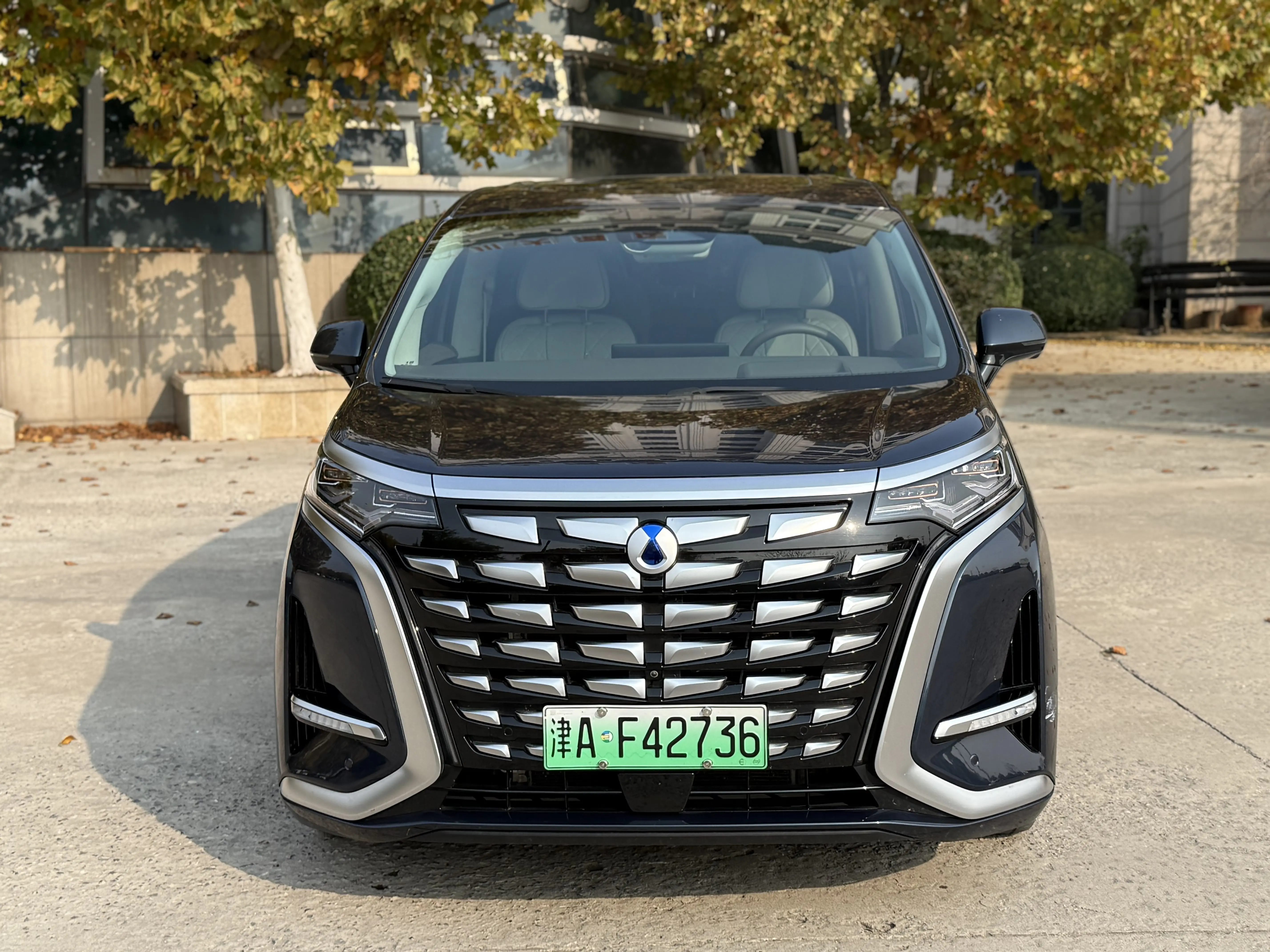 Denza D9 DM  из Китая