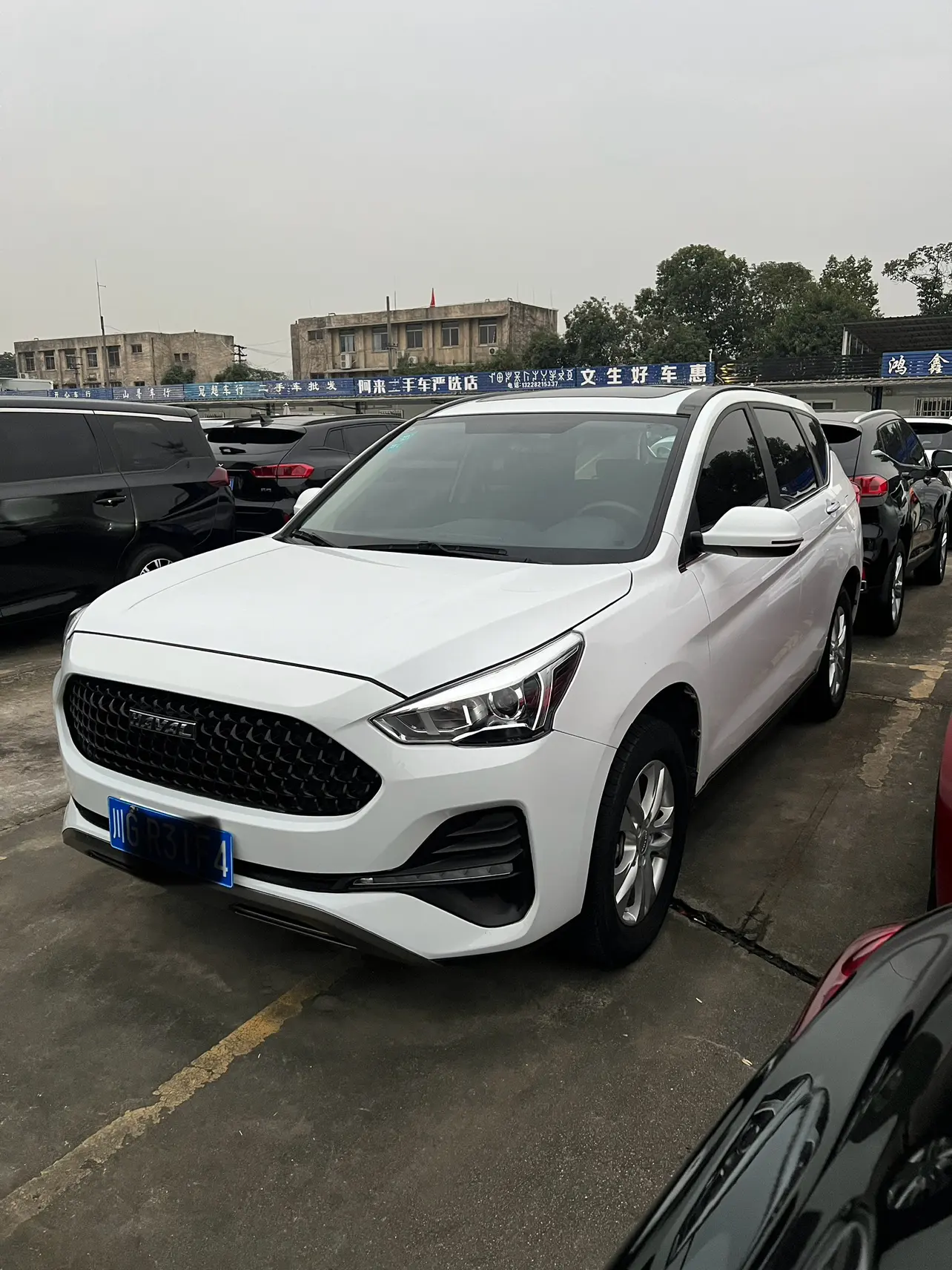 Haval M6  из Китая