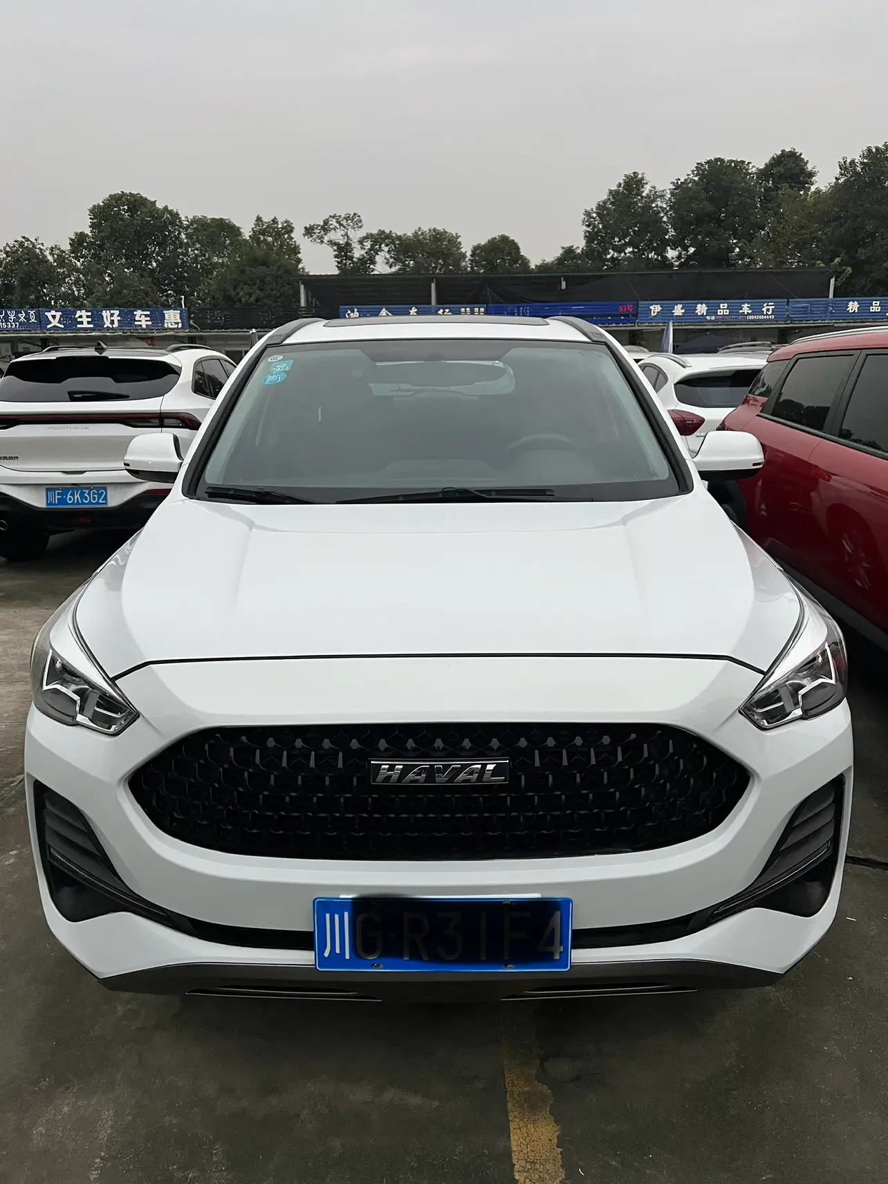 Haval M6  из Китая