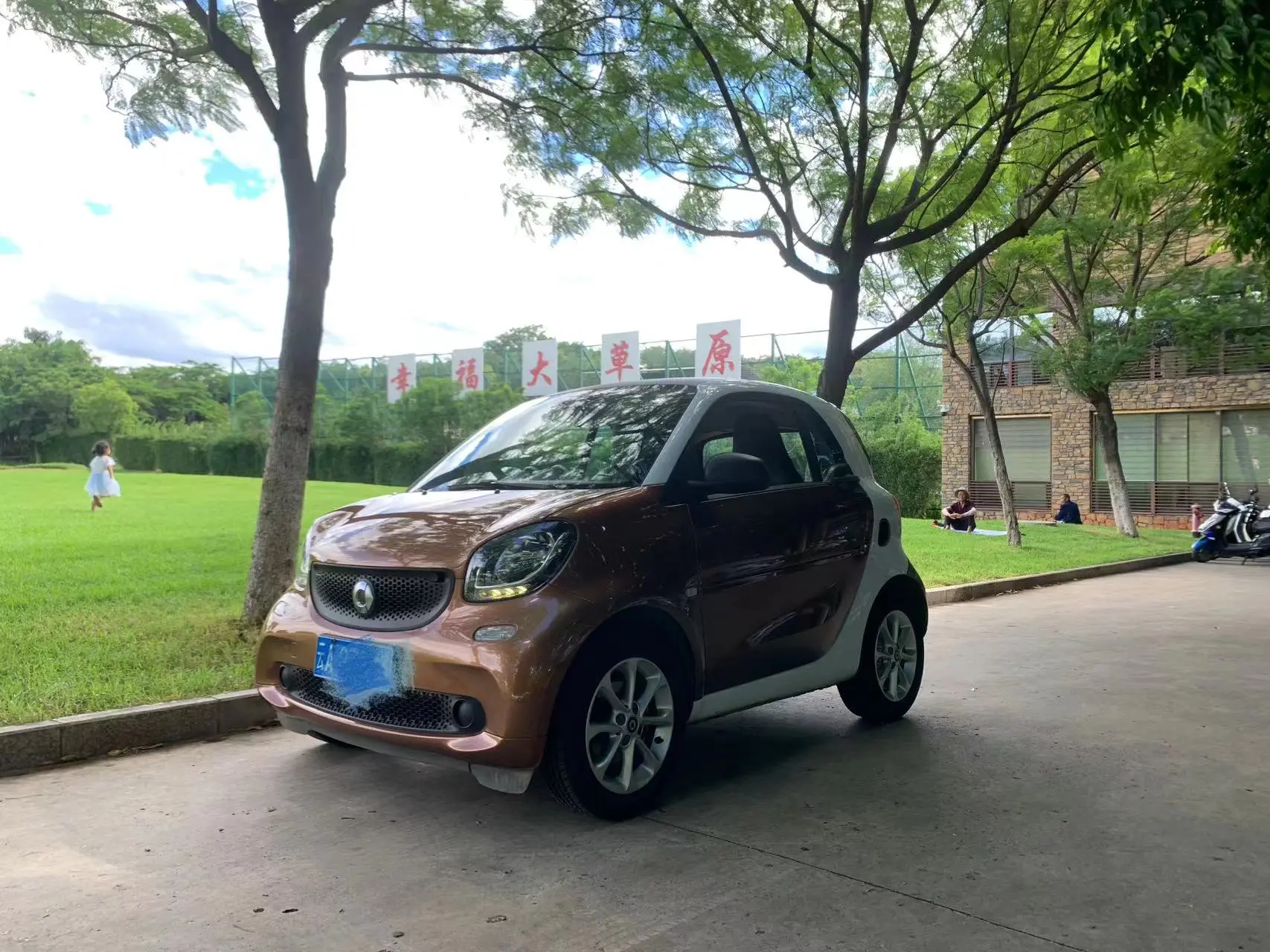 Smart fortwo  из Китая
