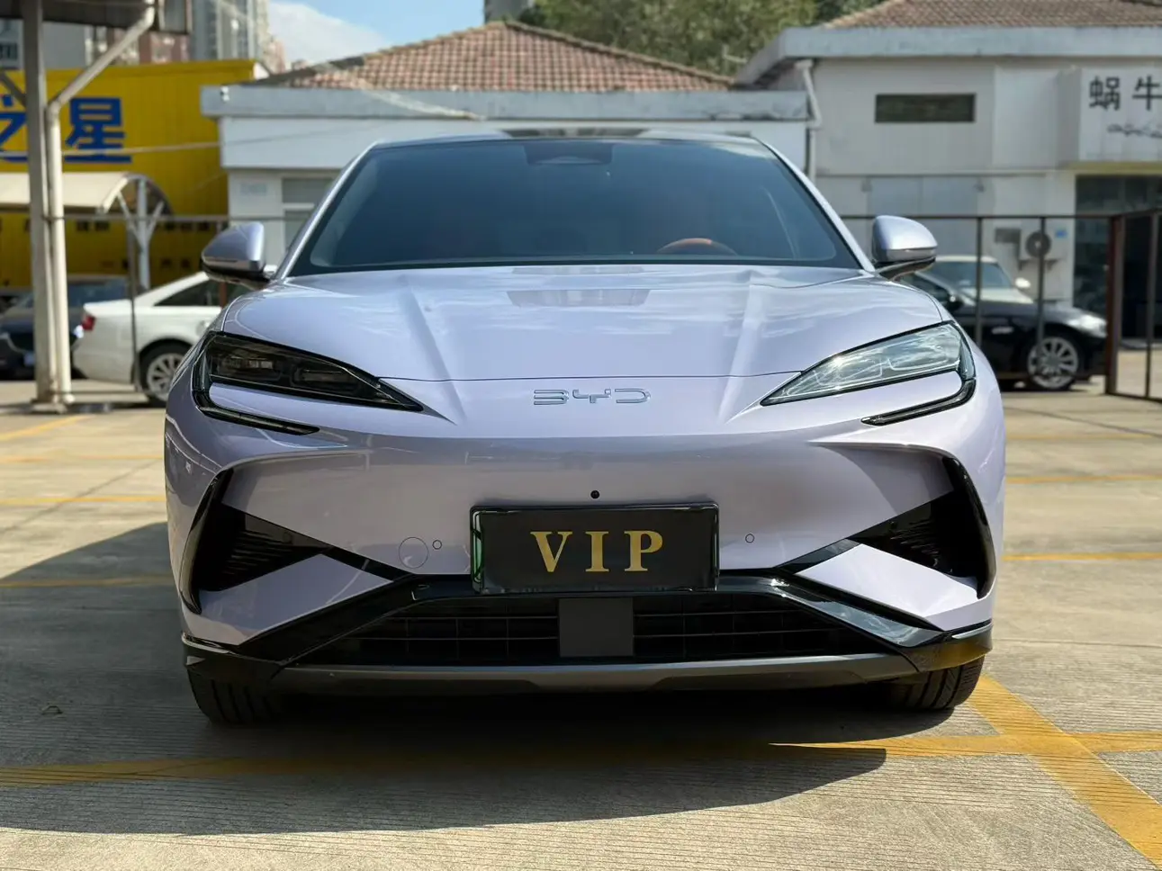 BYD Sea Lion 07EV  из Китая