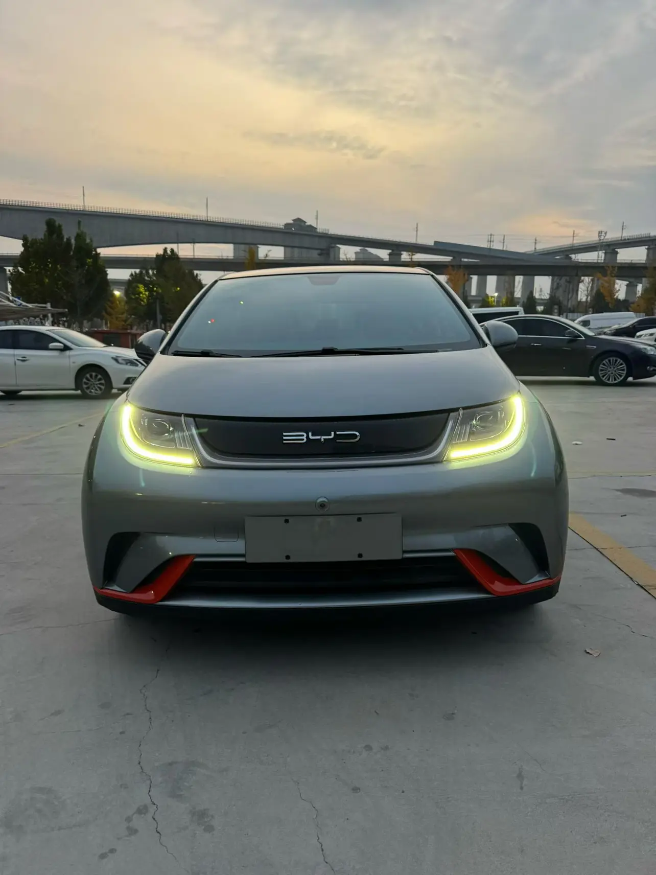 BYD Dolphin  из Китая