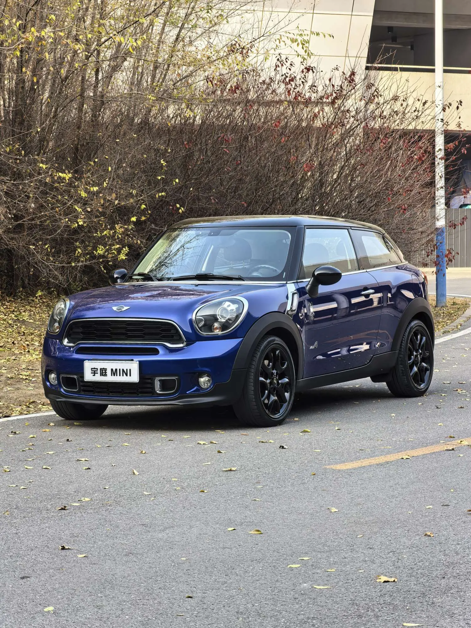 MINI PACEMAN  из Китая