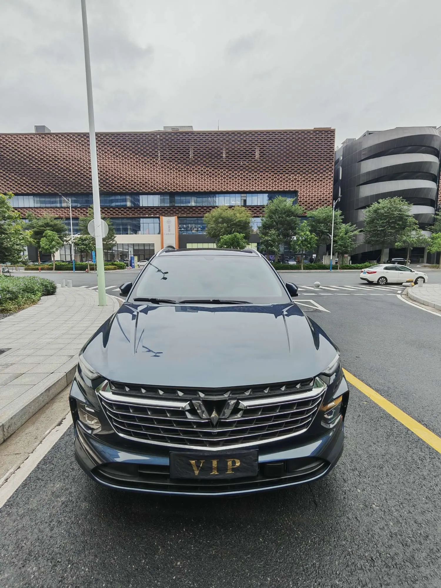 Wuling Capgemini Victory  из Китая