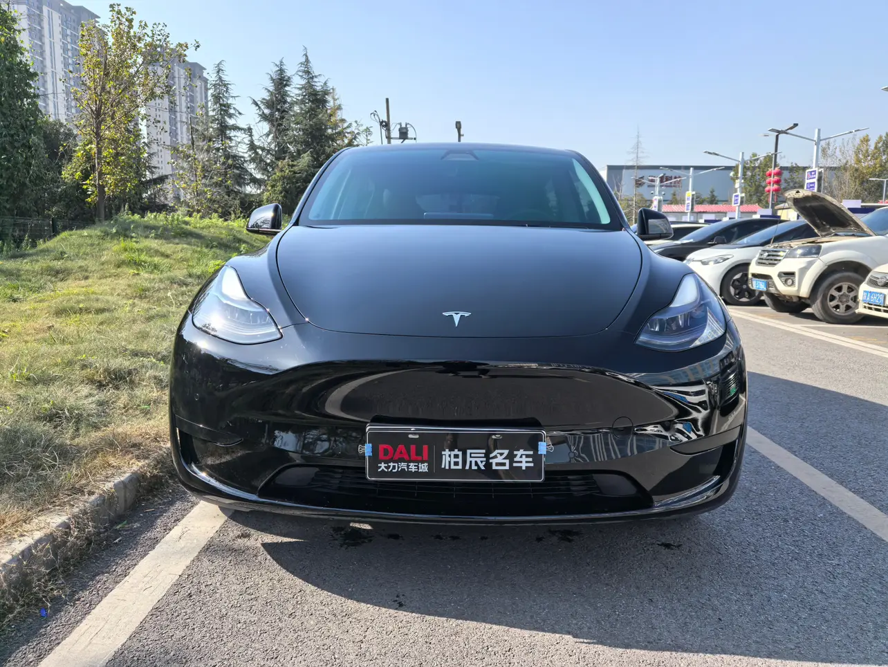Tesla Model Y  из Китая