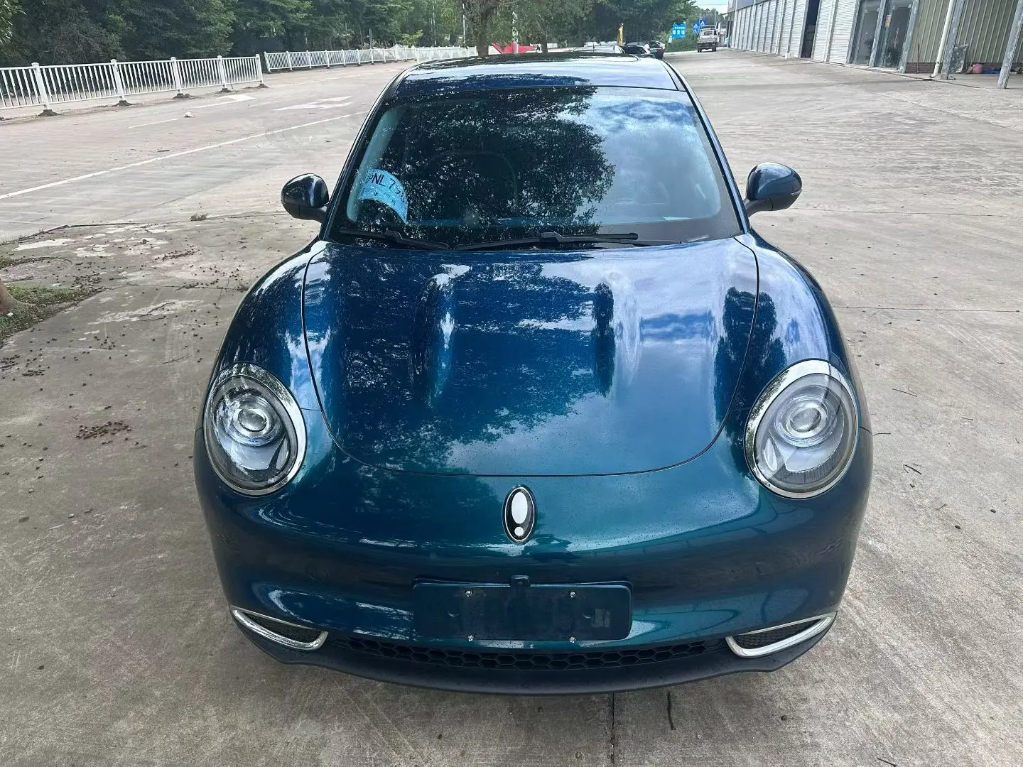 ORA Euler good cat  из Китая