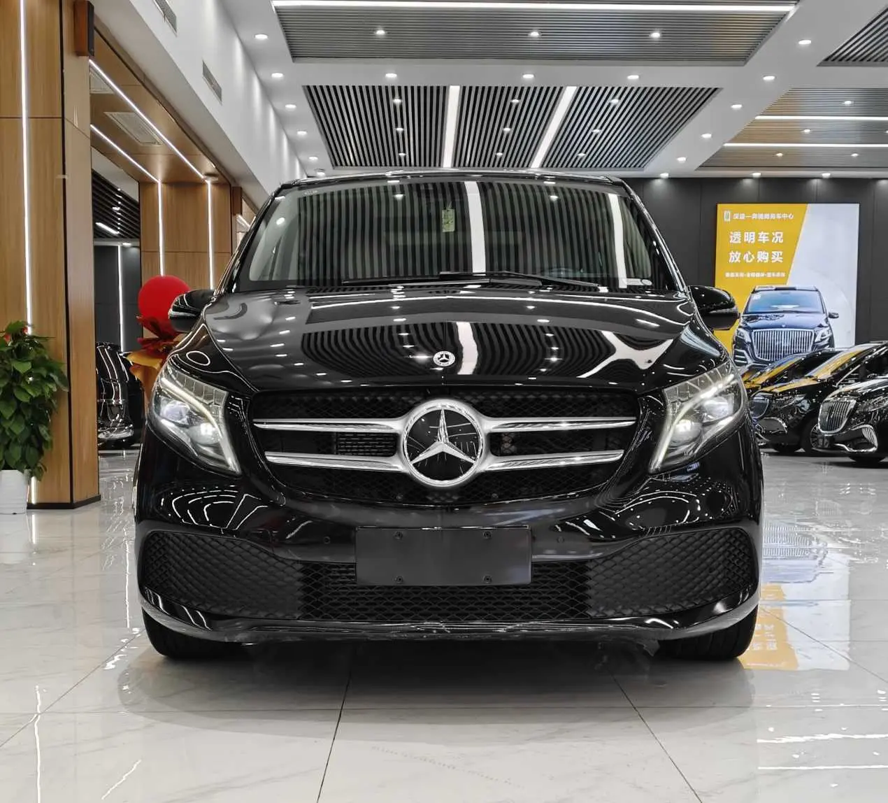 Mercedes-Benz Mercedes Benz V Class  из Китая