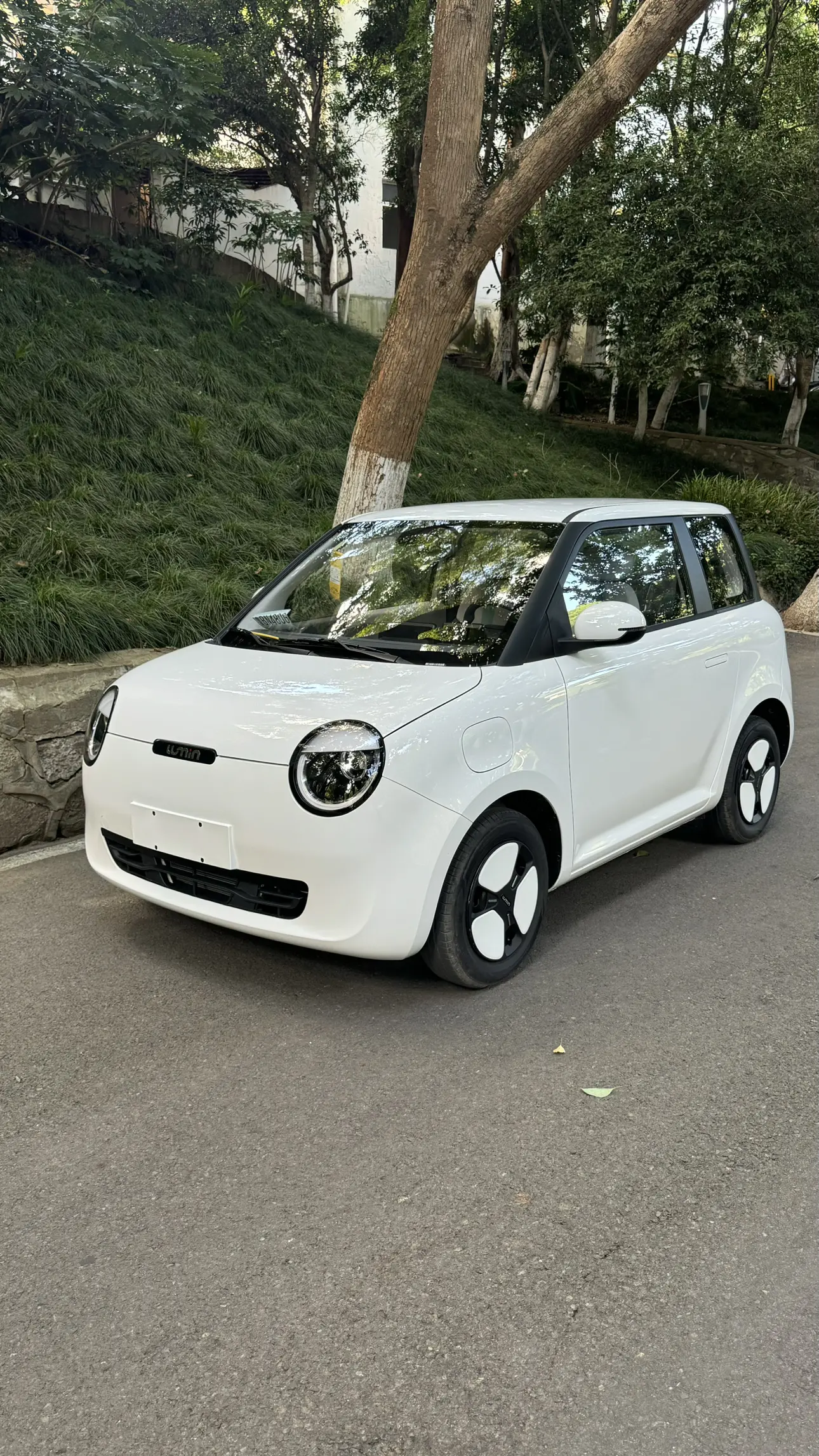 Changan Lumin  из Китая