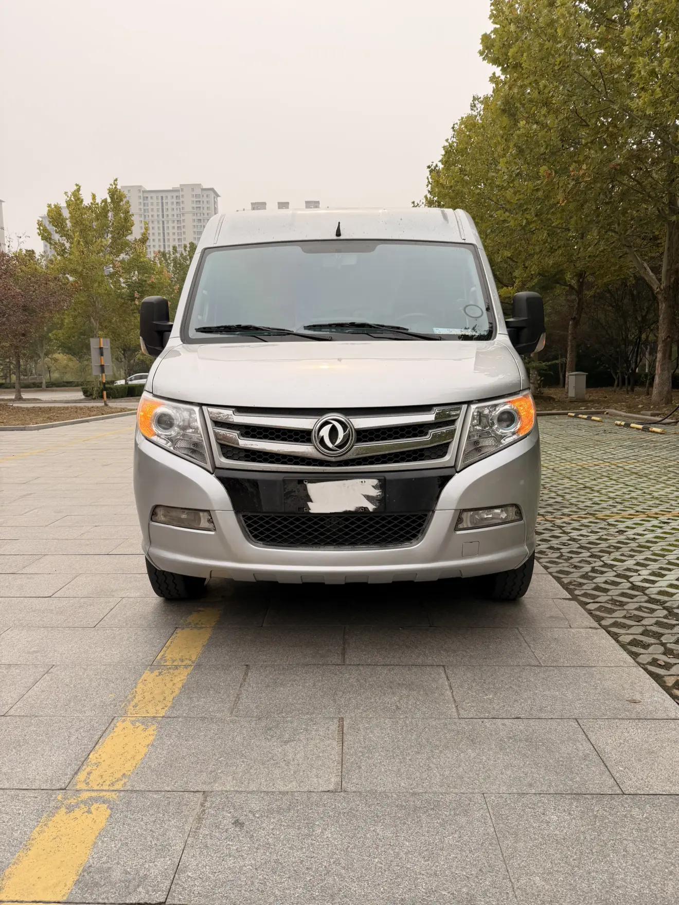 Dongfeng Yufeng  из Китая