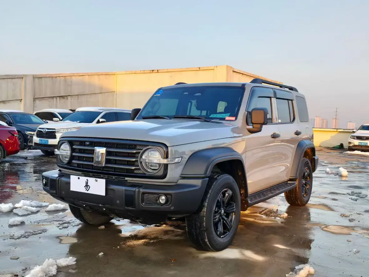 Tank 300  из Китая