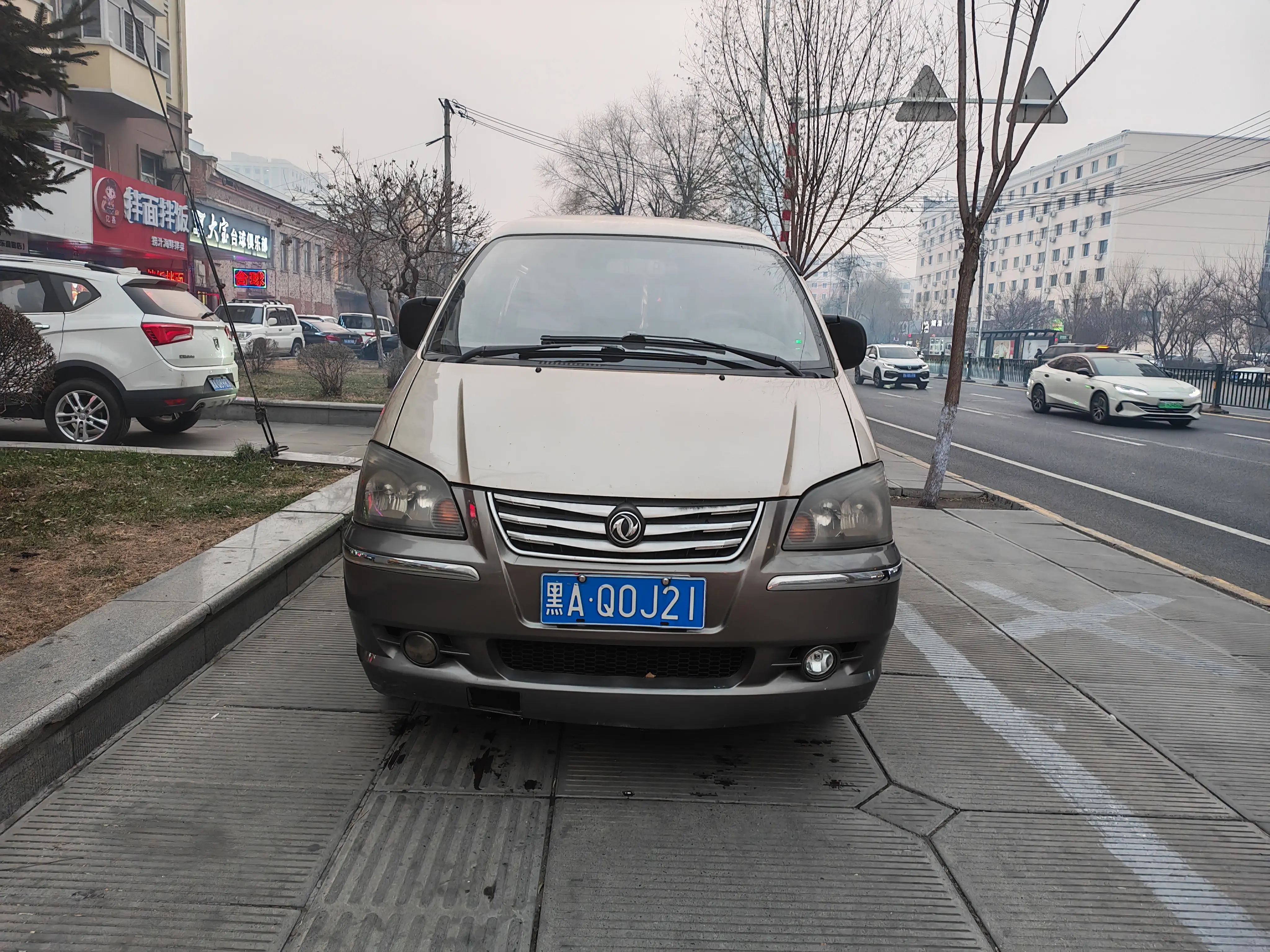 Forthing Lingzhi  из Китая