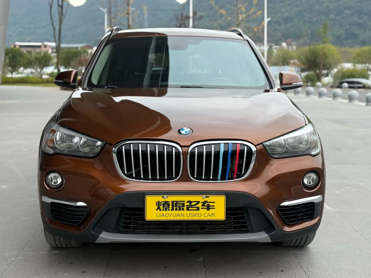BMW X1  из Китая