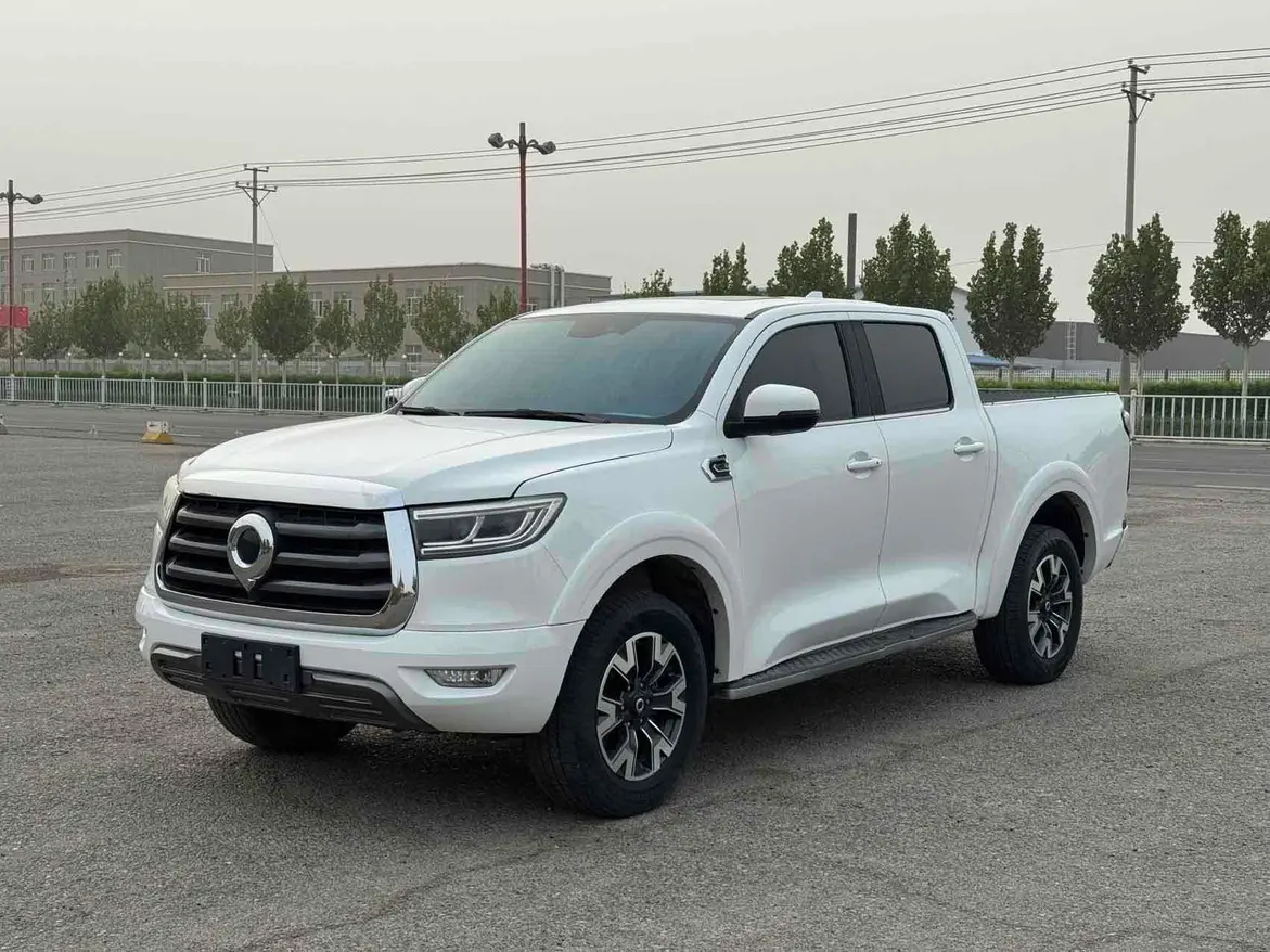 Great Wall Gun  из Китая