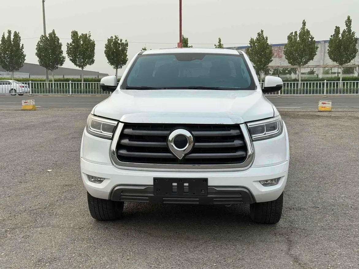 Great Wall Gun  из Китая