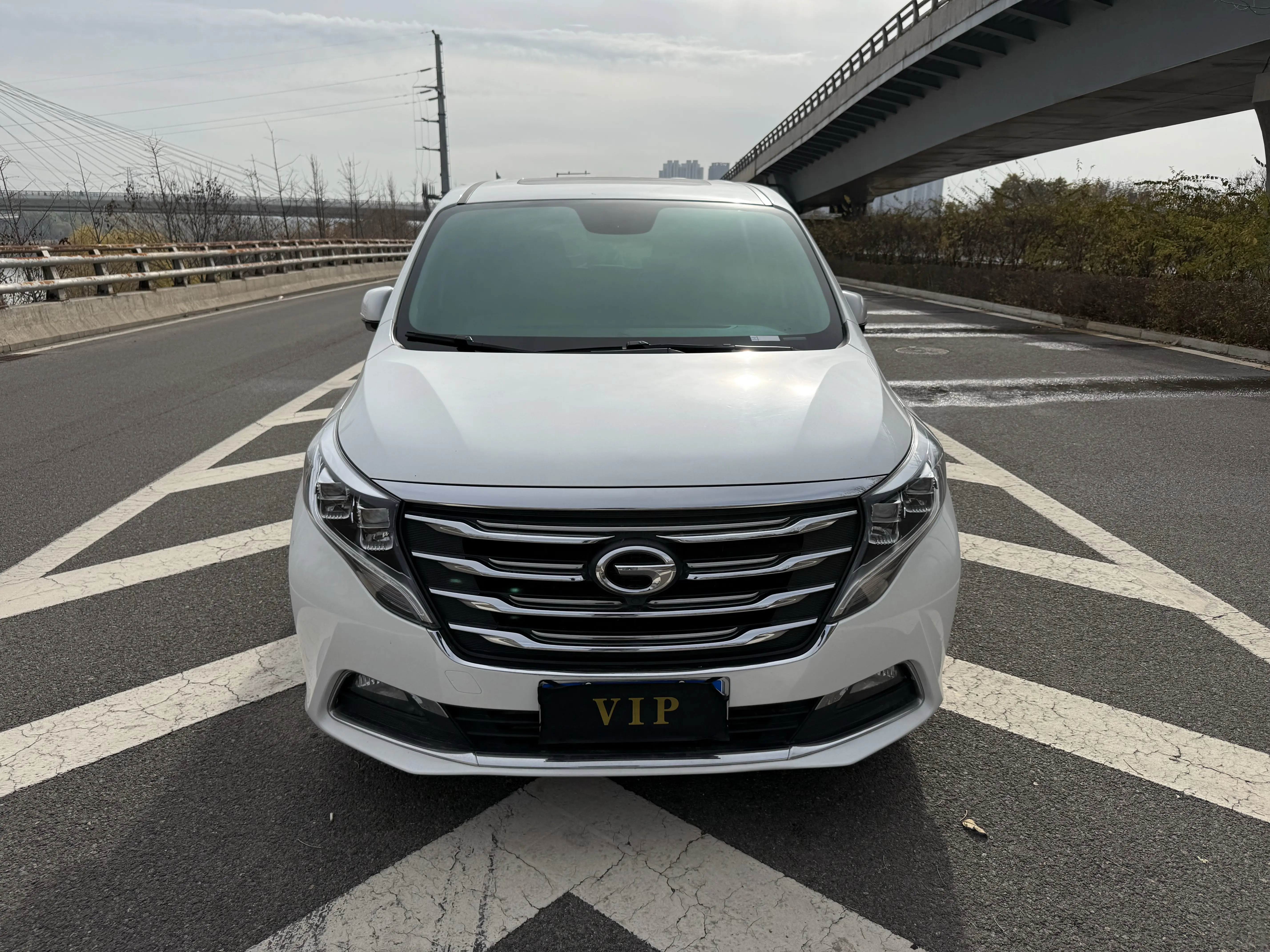 GAC Trumpchi M8  из Китая
