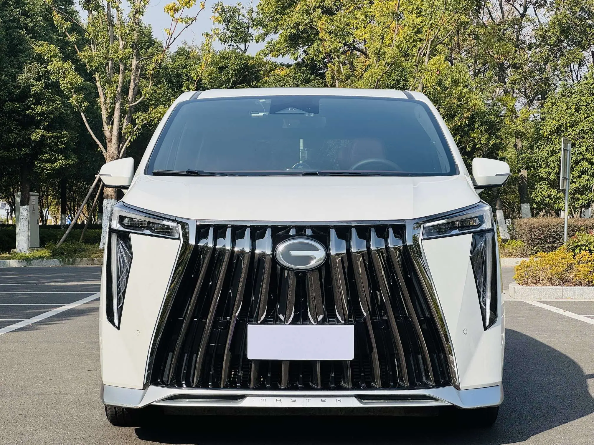 GAC Trumpchi M8  из Китая